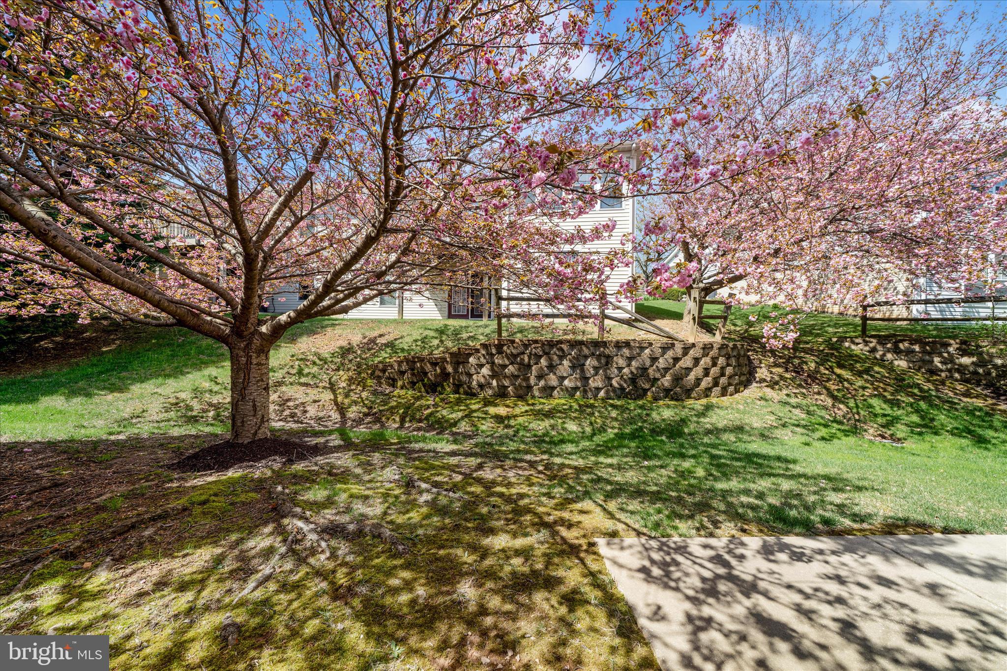 908 Roller Coaster Court Mount Airy, MD 21771 - Photo 51 of 69 a view of a yard with plants and trees
