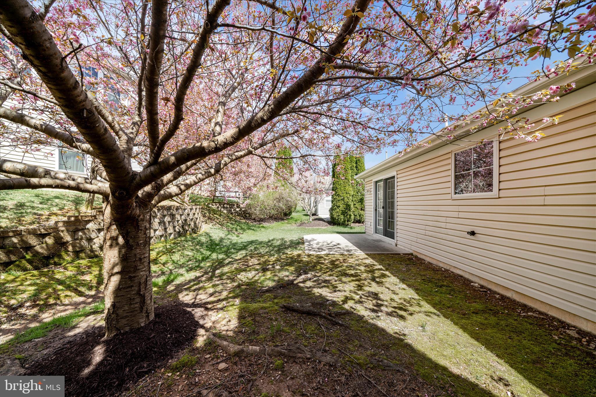 908 Roller Coaster Court Mount Airy, MD 21771 - Photo 52 of 69 a view of a yard with large trees
