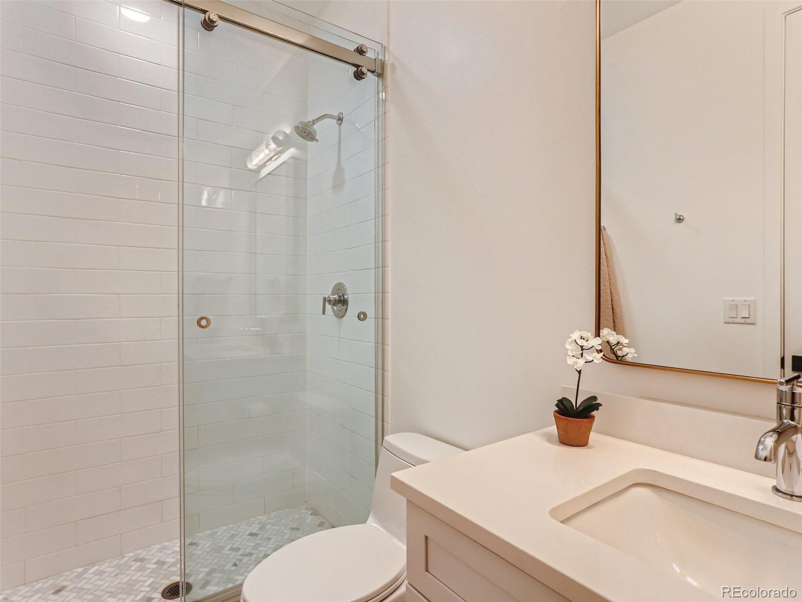1463 Red Sun Way Highlands Ranch, CO 80126 - Photo 26 of 40