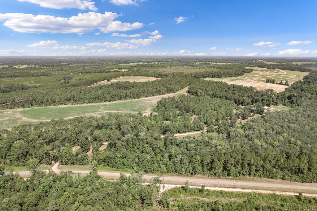 2480 South Springhill Road Gordon, AL 36343 - Photo 106 of 114