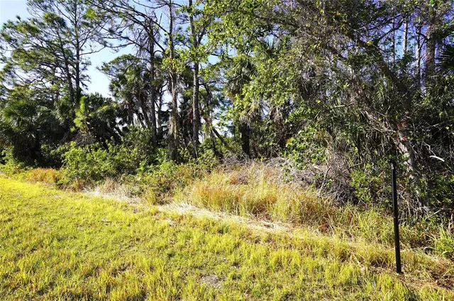 a view of yard with green space