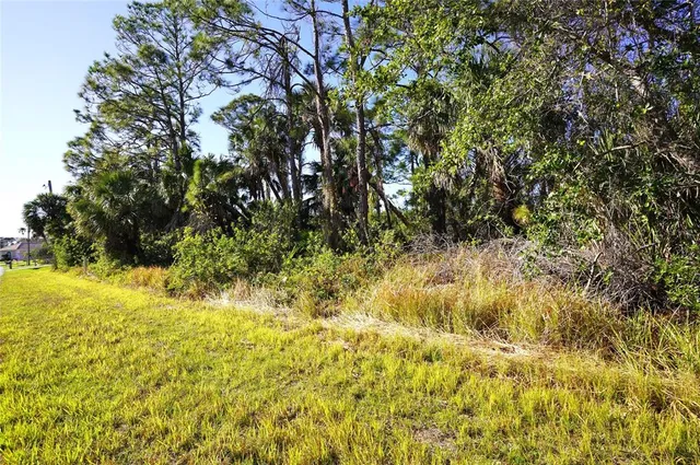 a view of yard with green space