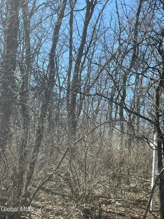 $29,000 | 27 Stevenson Street, Schenectady, NY 12308