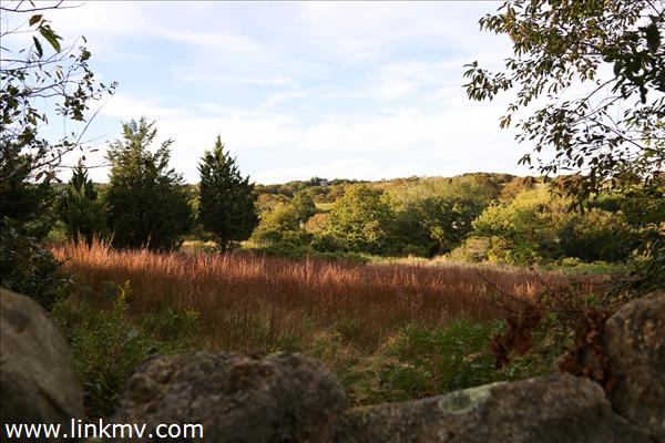 6 Eddy Farm Road Chilmark, MA 02535 - Photo 5 of 17 http://d1qzqeyxiitrap.cloudfront.net/photos/29706/600/e5e9c3e3.jpg