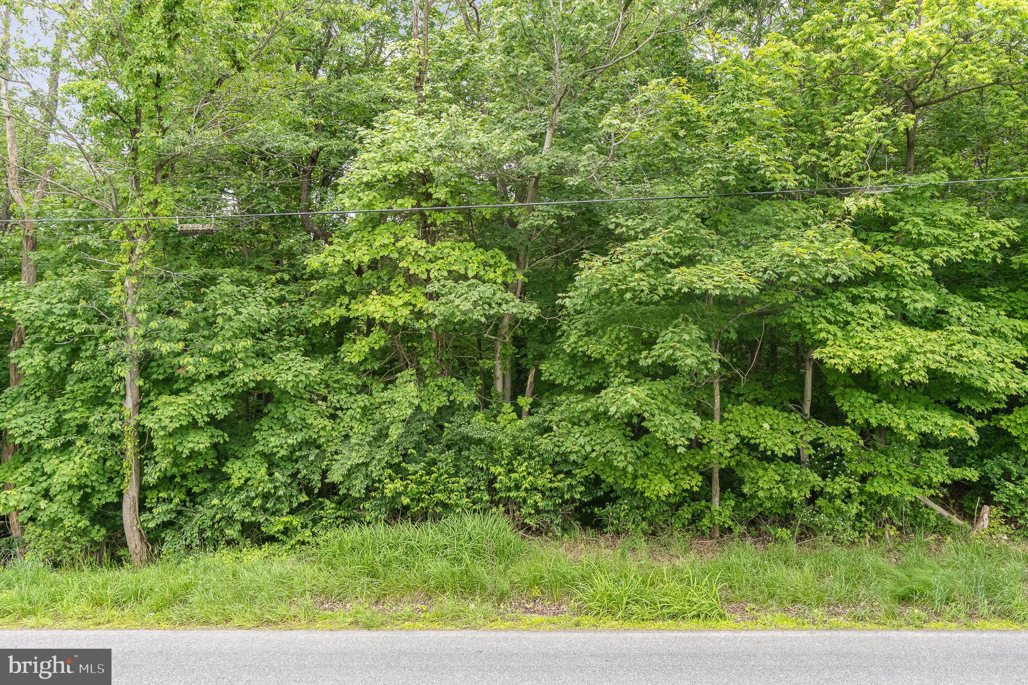 0 Dressler Ridge Road Mount Pleasant Mills, PA 17853 - Photo 11 of 11