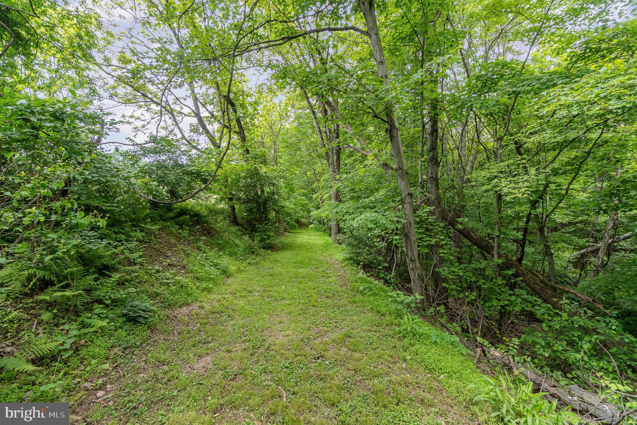 0 Dressler Ridge Road Mount Pleasant Mills, PA 17853 - Photo 7 of 11