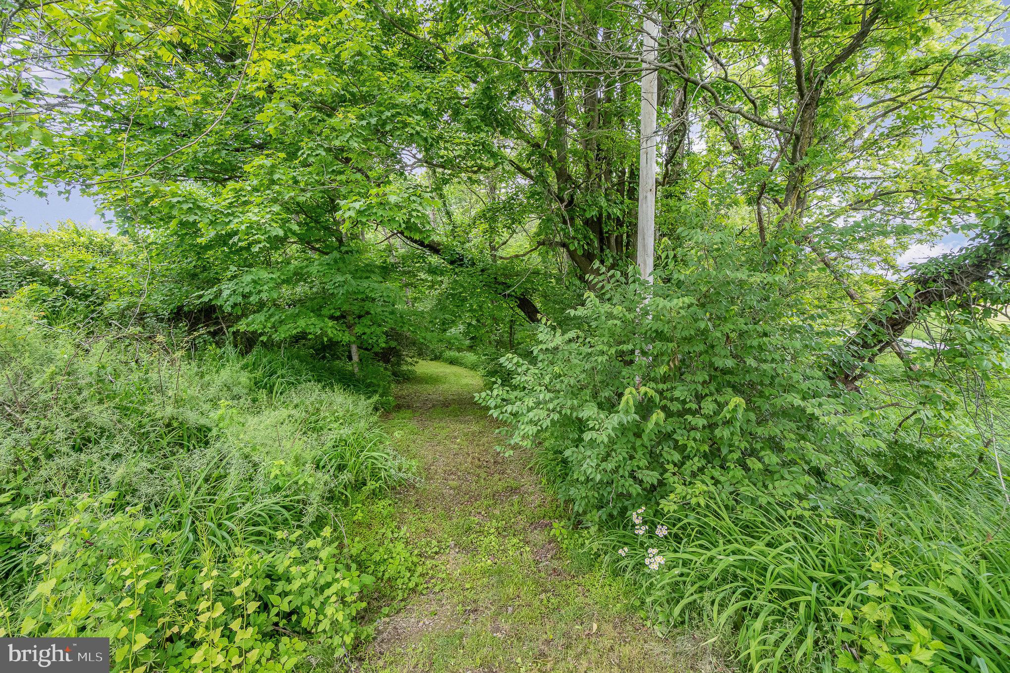 0 Dressler Ridge Road Mount Pleasant Mills, PA 17853 - Photo 10 of 11