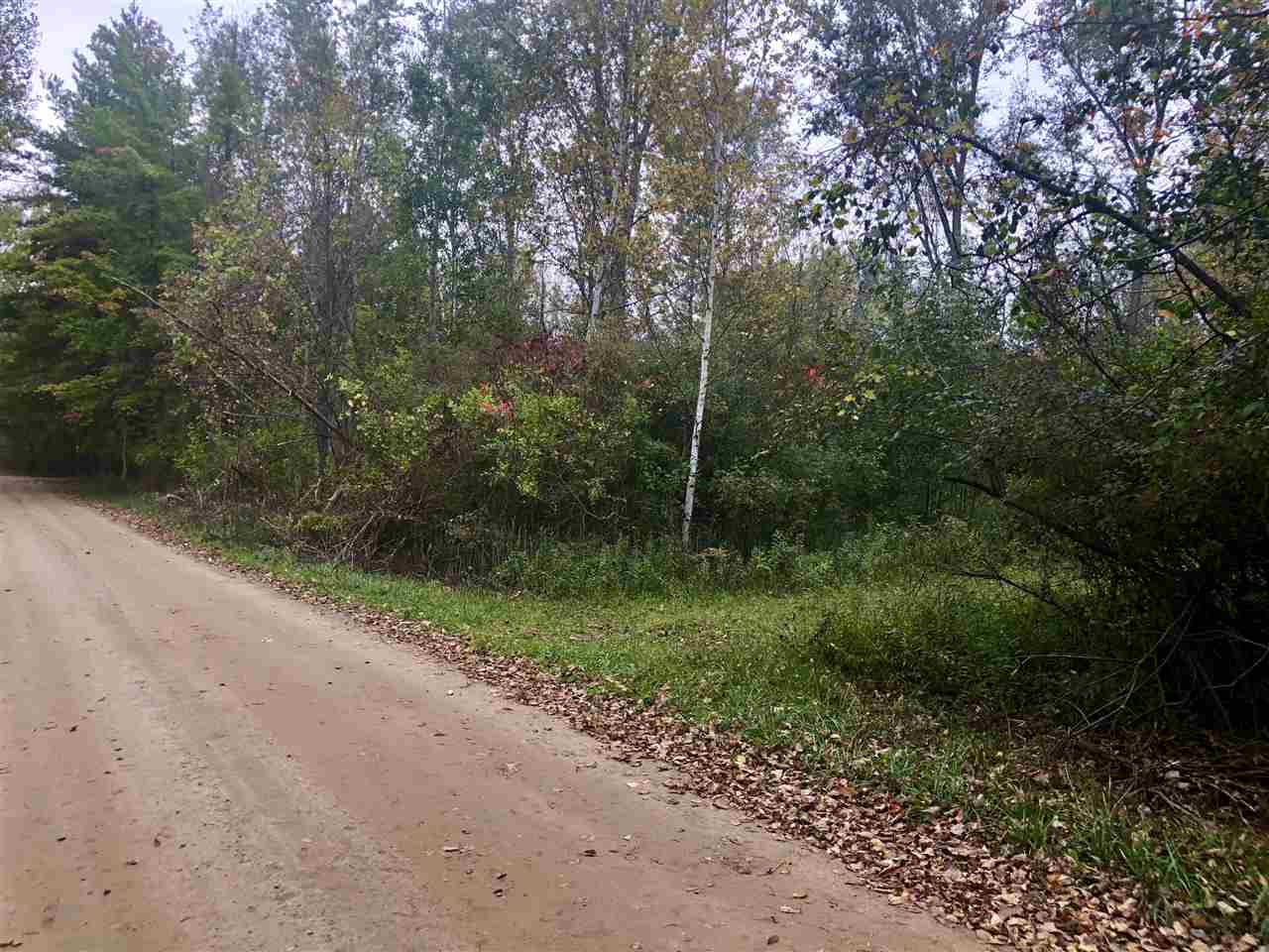 4564 Rupprecht Road Vassar, MI 48768 - Photo 1 of 4