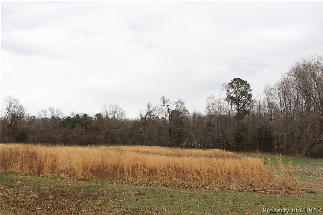 0 Old Pinetta 1.57 Acres Road Gloucester, VA 23061 - Photo 2 of 3