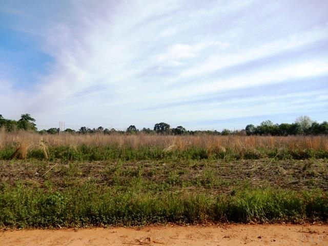 400-block Jones Road Atmore, FL 36502 - Photo 4 of 15