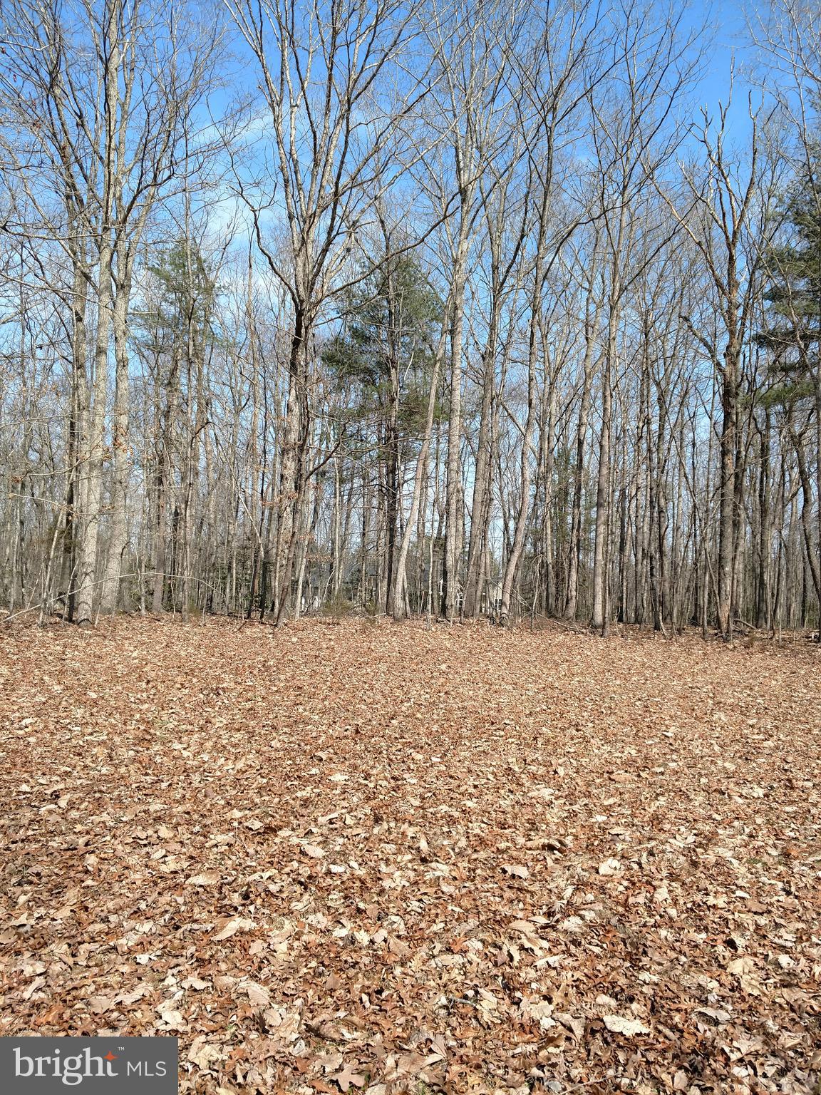 32283 Childress Road Locust Grove, VA 22508 - Photo 29 of 37 View