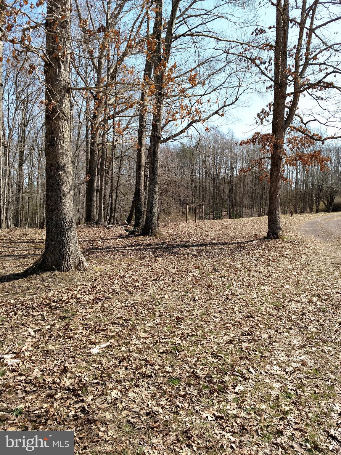 32283 Childress Road Locust Grove, VA 22508 - Photo 31 of 37 View