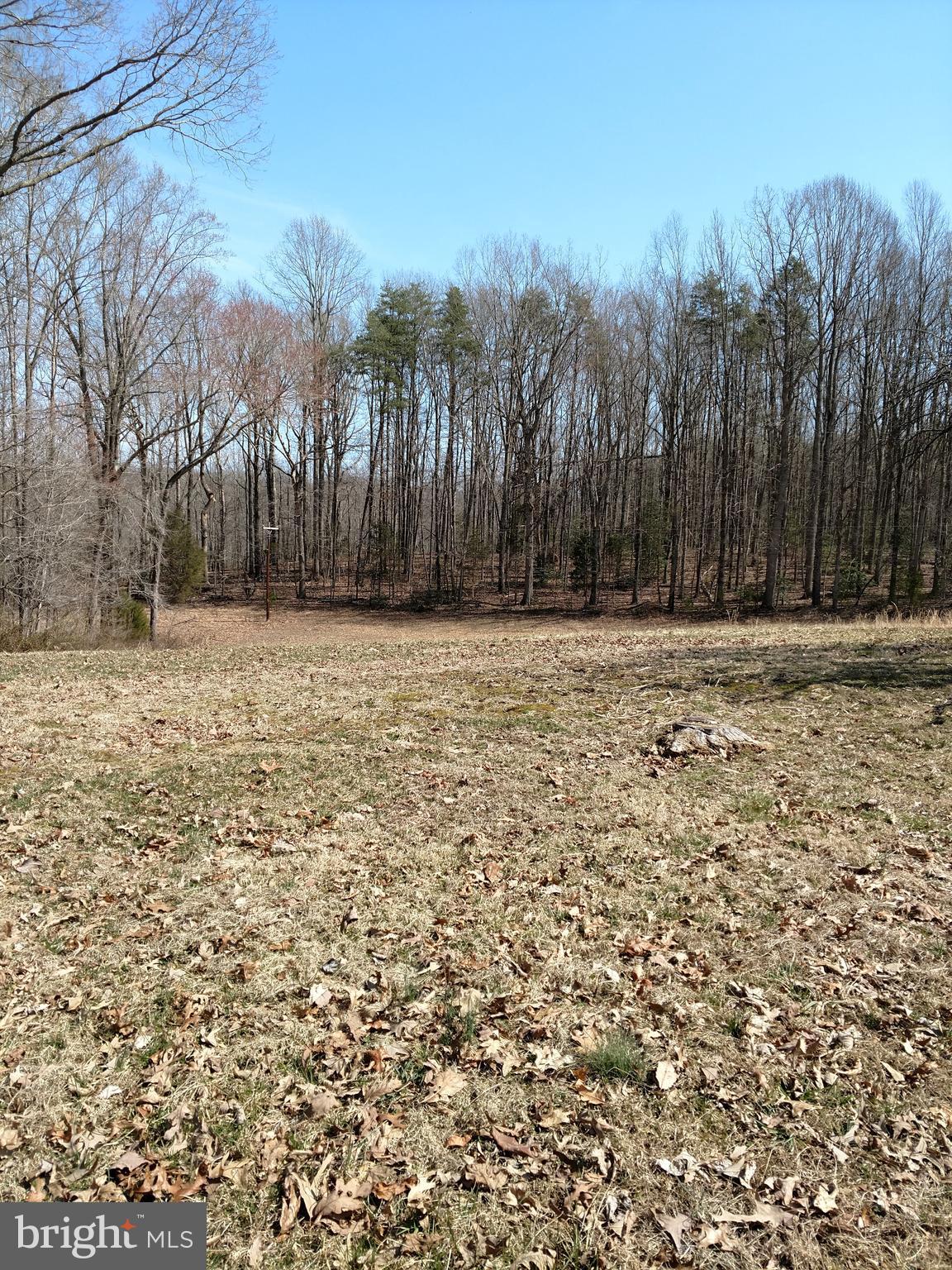 32283 Childress Road Locust Grove, VA 22508 - Photo 32 of 37 View