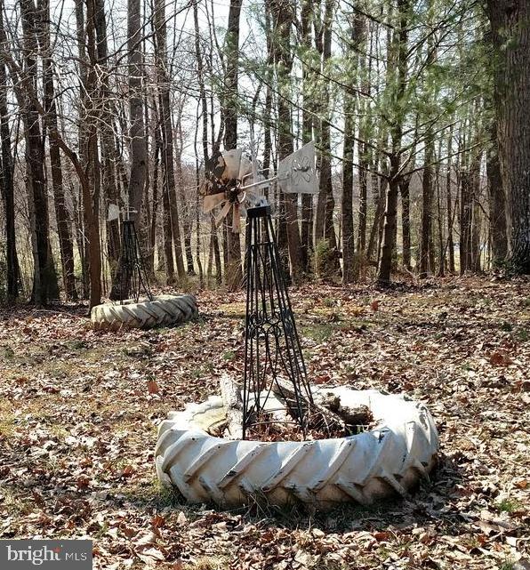32283 Childress Road Locust Grove, VA 22508 - Photo 33 of 37 View