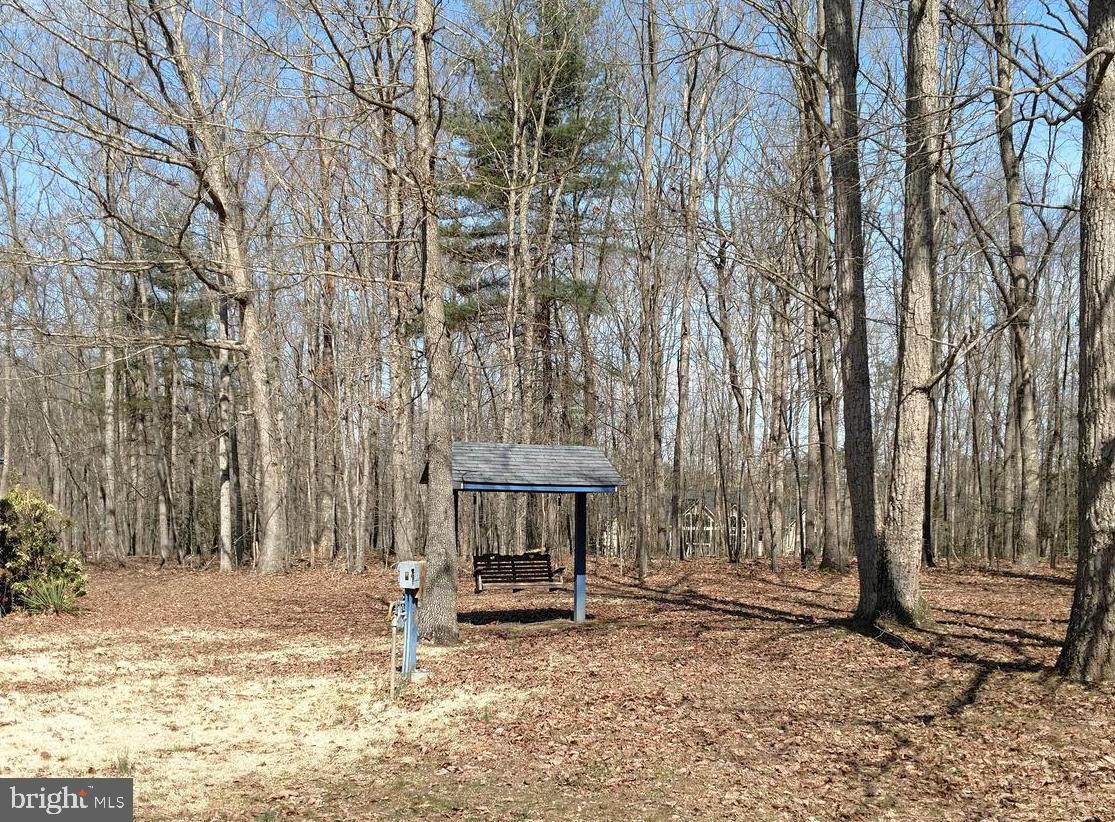 32283 Childress Road Locust Grove, VA 22508 - Photo 6 of 37 Outdoor Swing
