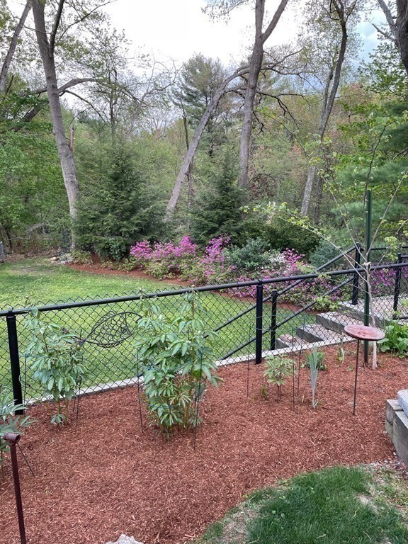 39 George Brown Street Billerica, MA 01821 - Photo 19 of 29 a view of a park with large trees