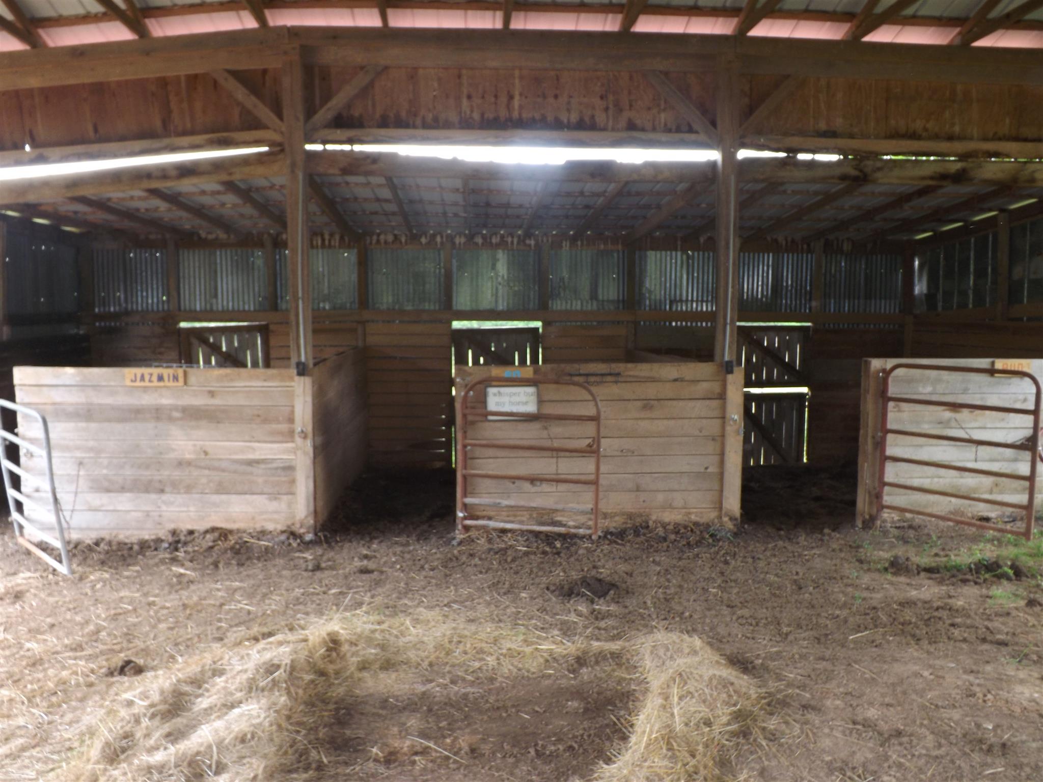 886 Fry Branch Road Lynnville, TN 38472 - Photo 21 of 30 Gallery Image 21