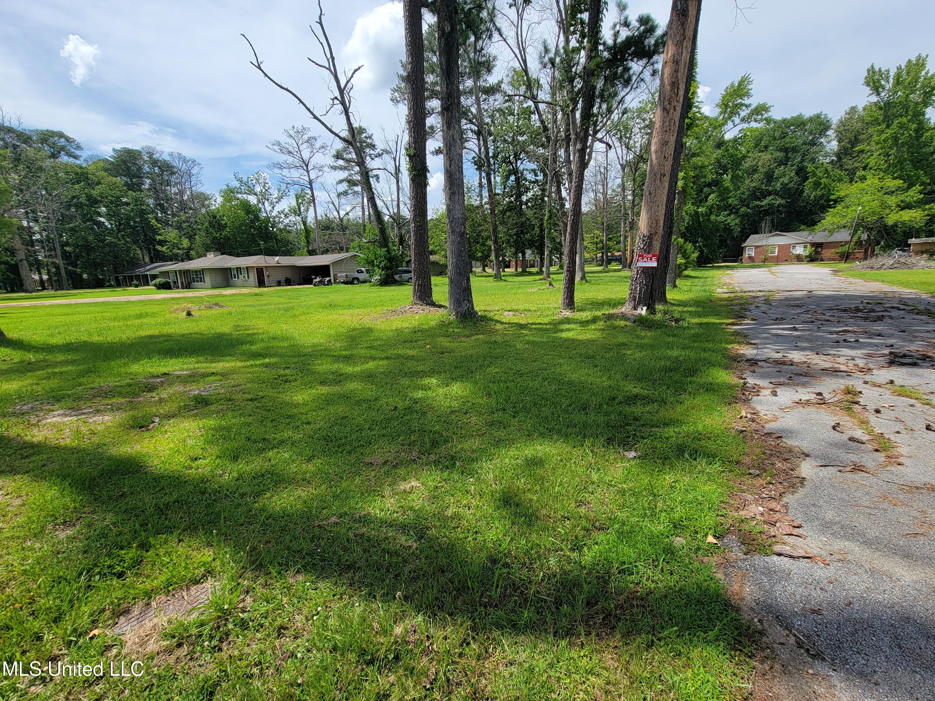 1505 East 3rd Street Forest, MS 39074 - Photo 3 of 7 27470
