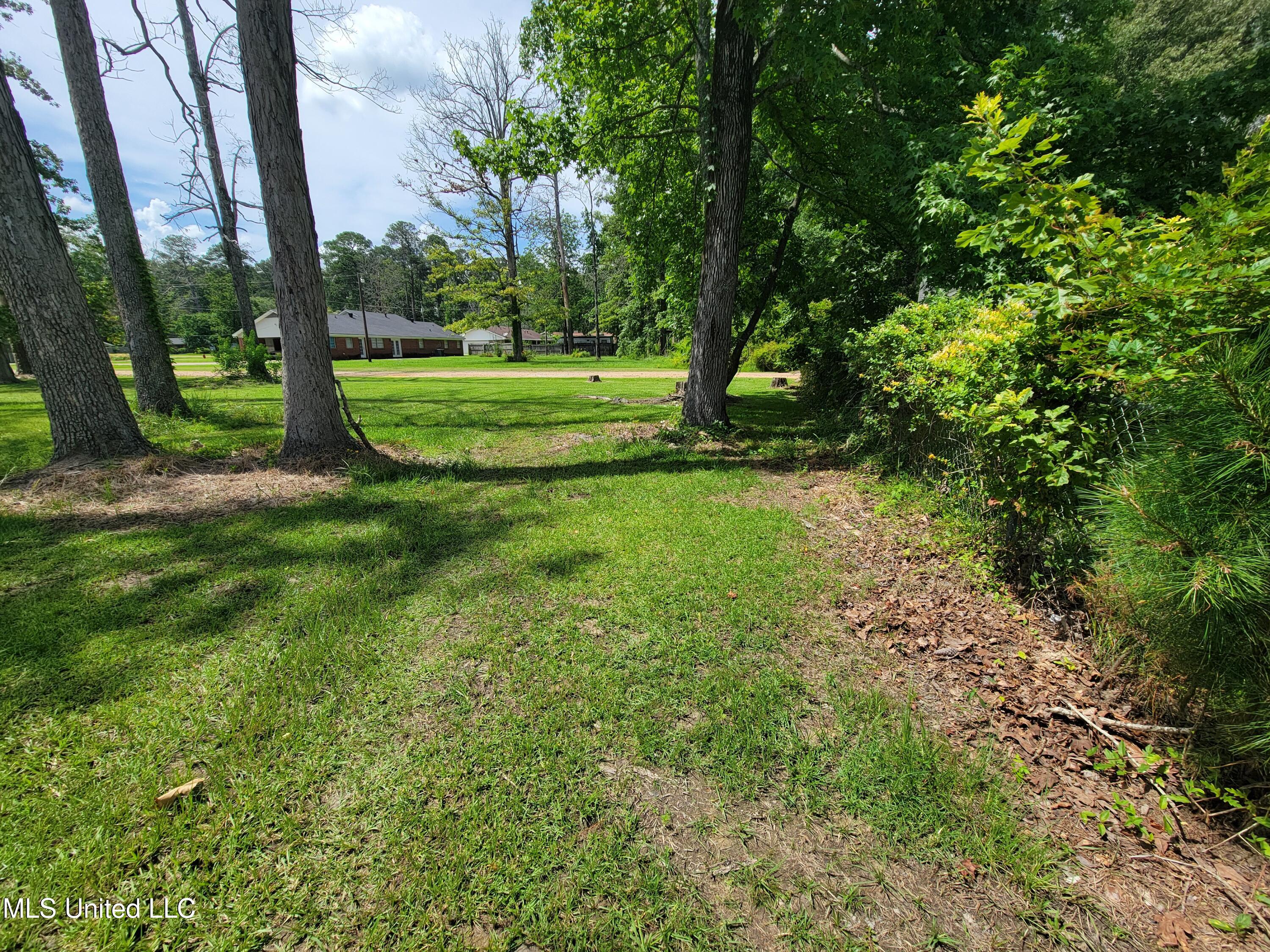 1505 East 3rd Street Forest, MS 39074 - Photo 6 of 7 27474