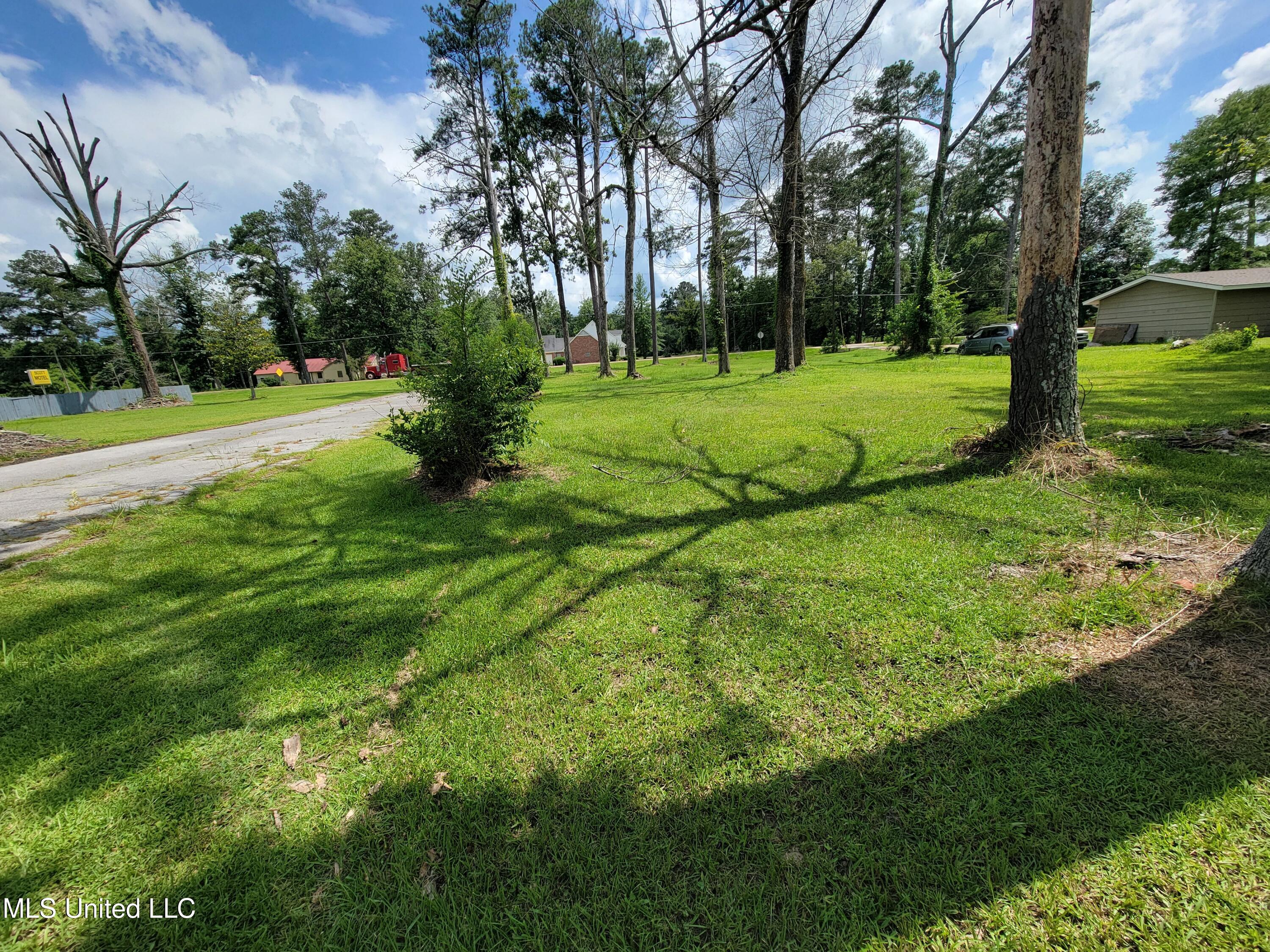 1505 East 3rd Street Forest, MS 39074 - Photo 7 of 7 27475
