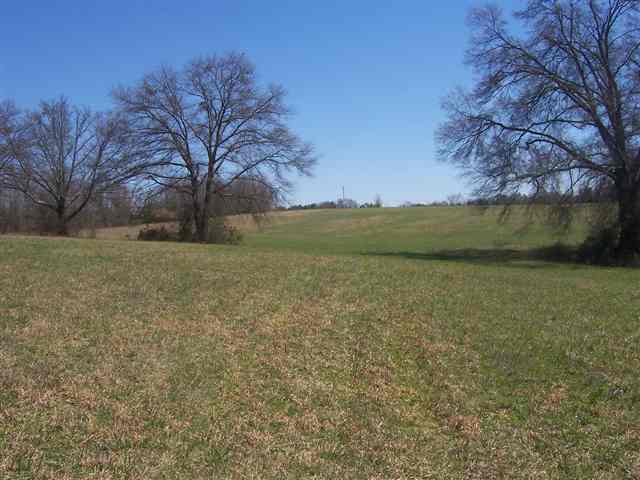 Five Five Forks Road Anderson, SC 29621 - Photo 10 of 10