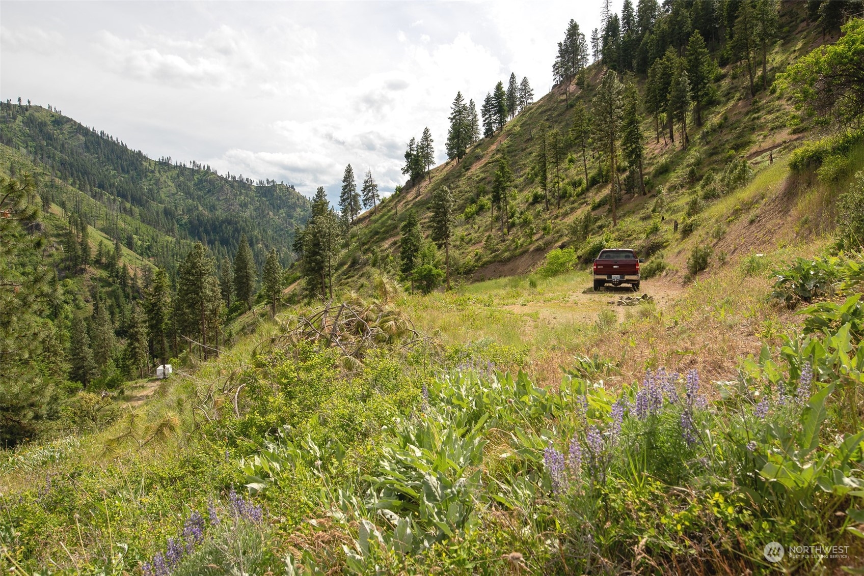 9014 Forest Service 7410 Road Cashmere, WA 98815 - Photo 13 of 20 Gallery Image 13