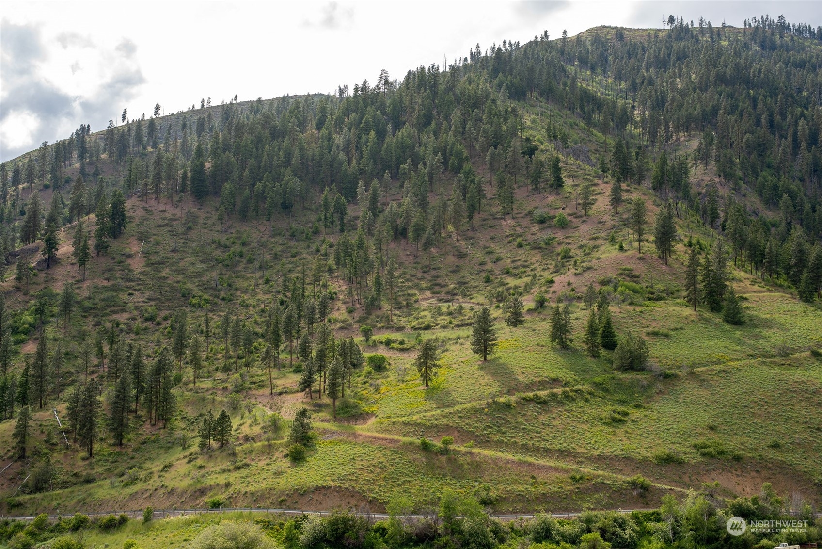 9014 Forest Service 7410 Road Cashmere, WA 98815 - Photo 14 of 20 Gallery Image 14