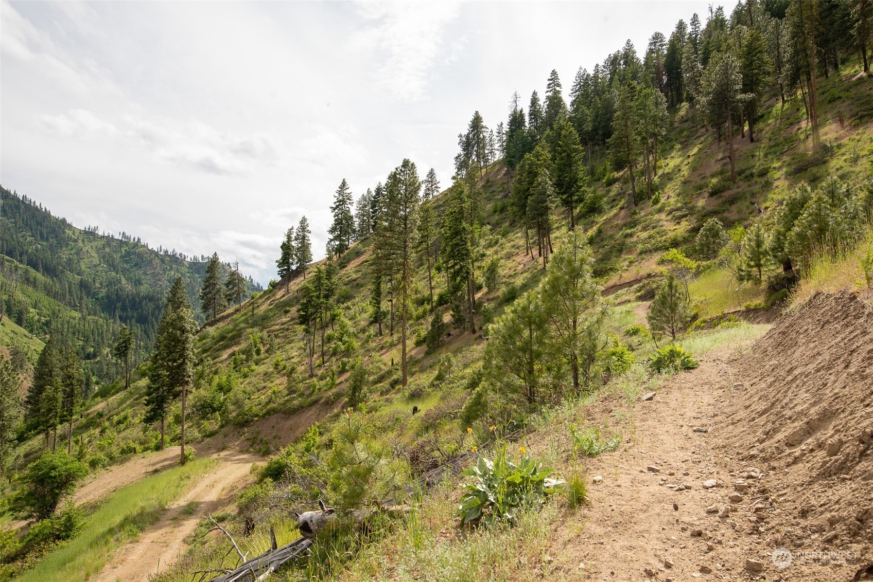 9014 Forest Service 7410 Road Cashmere, WA 98815 - Photo 15 of 20 Gallery Image 15
