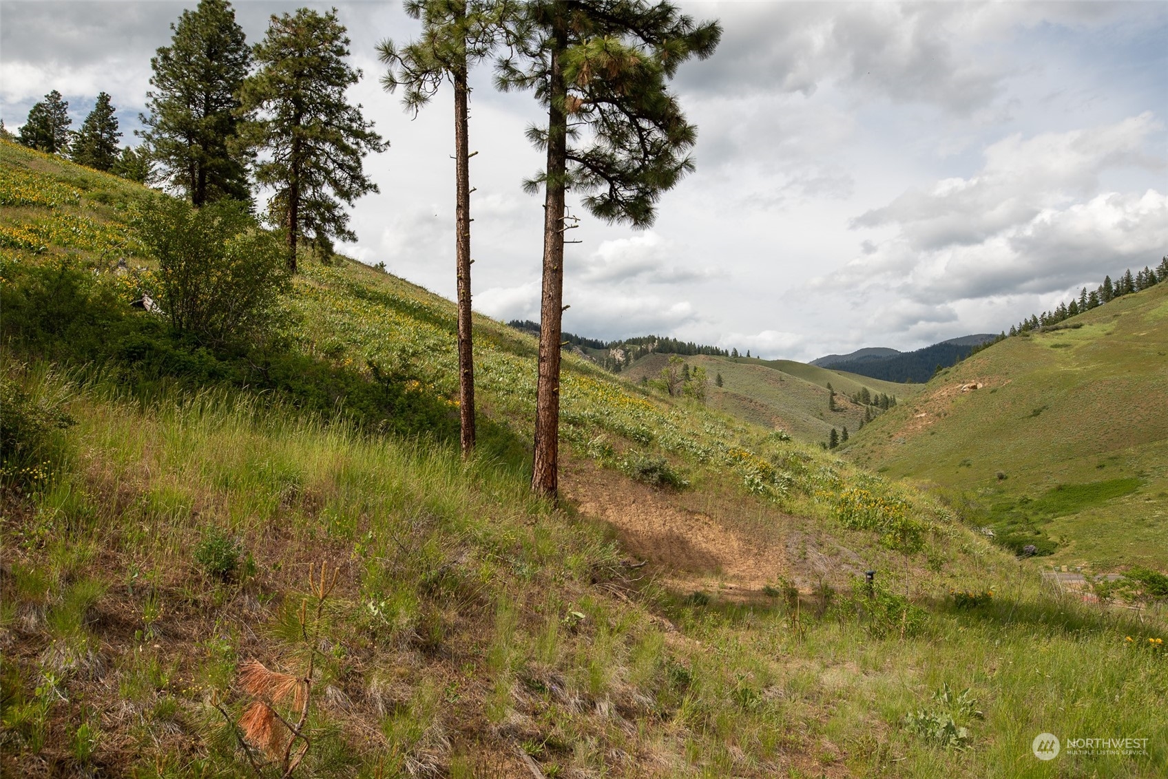9014 Forest Service 7410 Road Cashmere, WA 98815 - Photo 16 of 20 Gallery Image 16