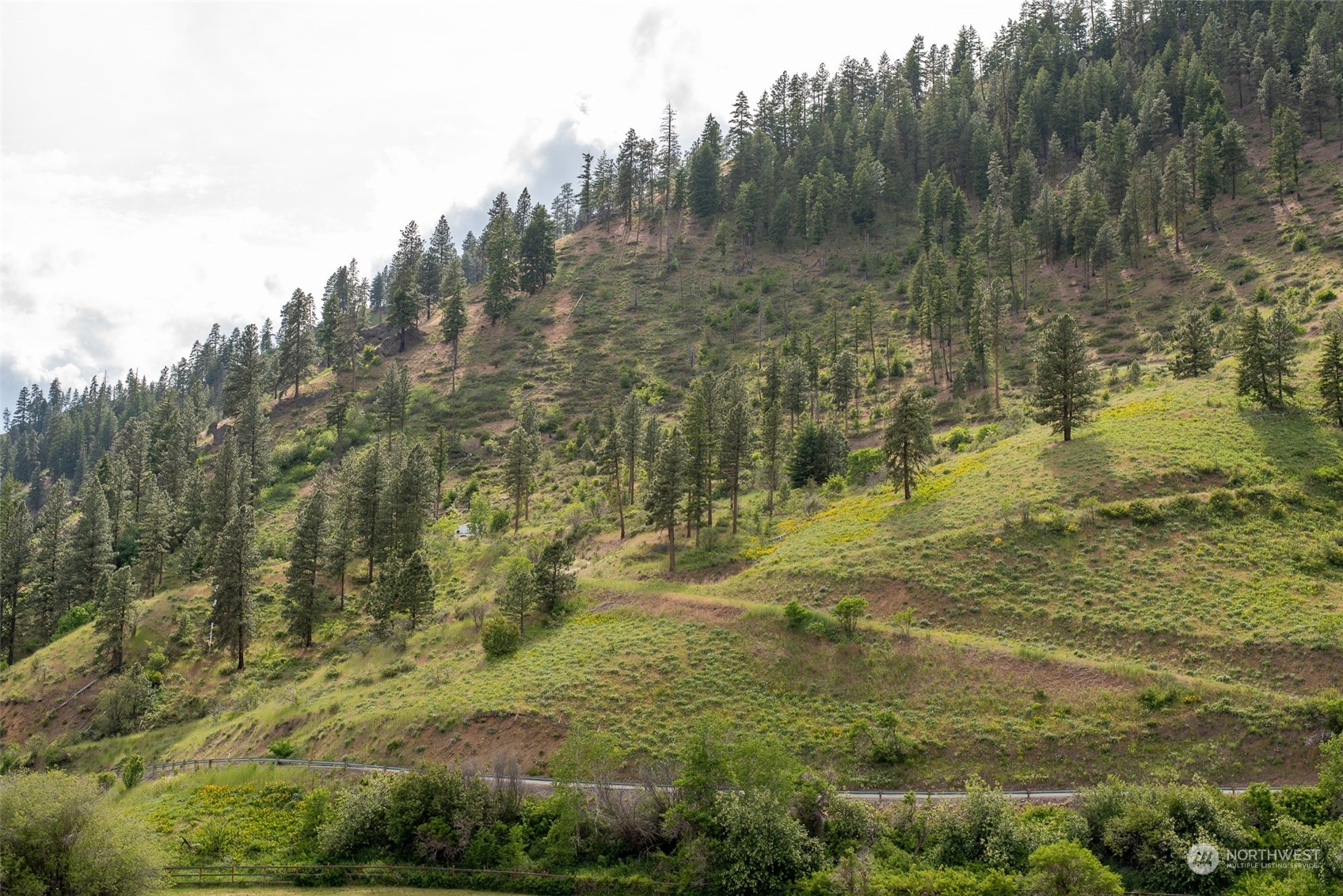 9014 Forest Service 7410 Road Cashmere, WA 98815 - Photo 3 of 20 Gallery Image 3