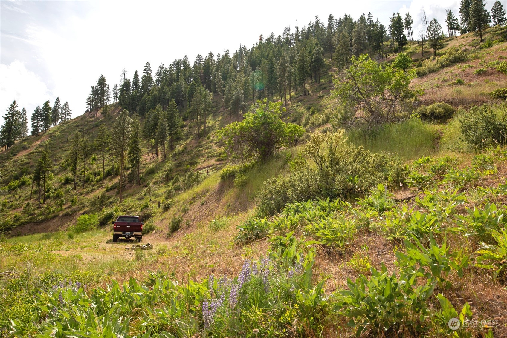 9014 Forest Service 7410 Road Cashmere, WA 98815 - Photo 5 of 20 Gallery Image 5