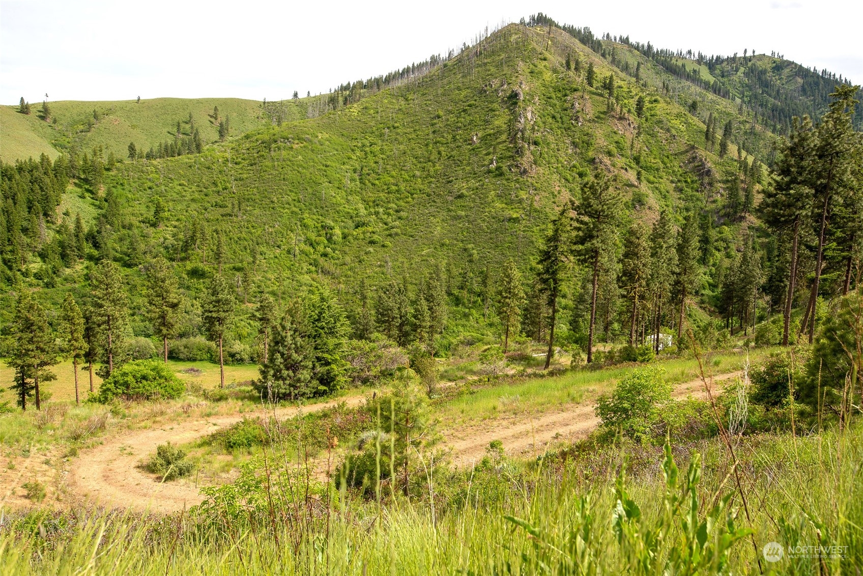 9014 Forest Service 7410 Road Cashmere, WA 98815 - Photo 6 of 20 Gallery Image 6