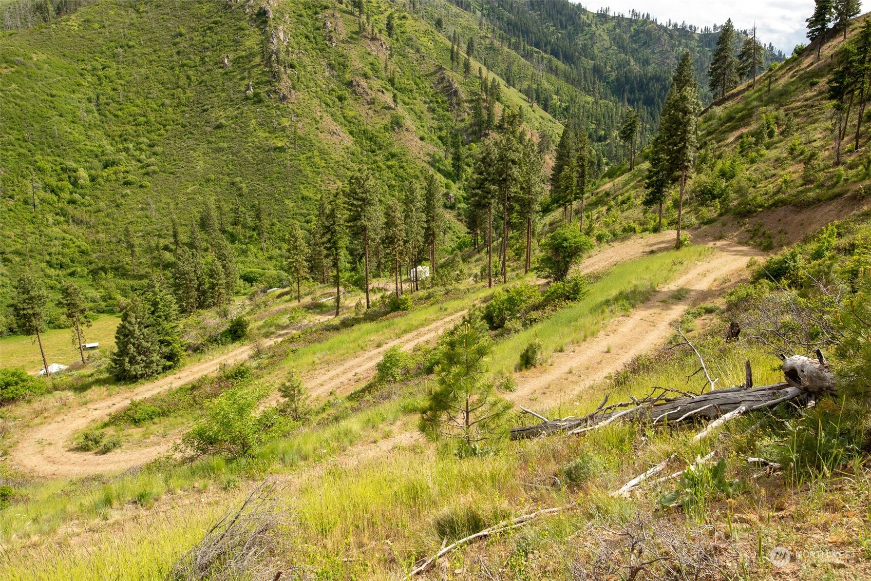 9014 Forest Service 7410 Road Cashmere, WA 98815 - Photo 8 of 20 Gallery Image 8