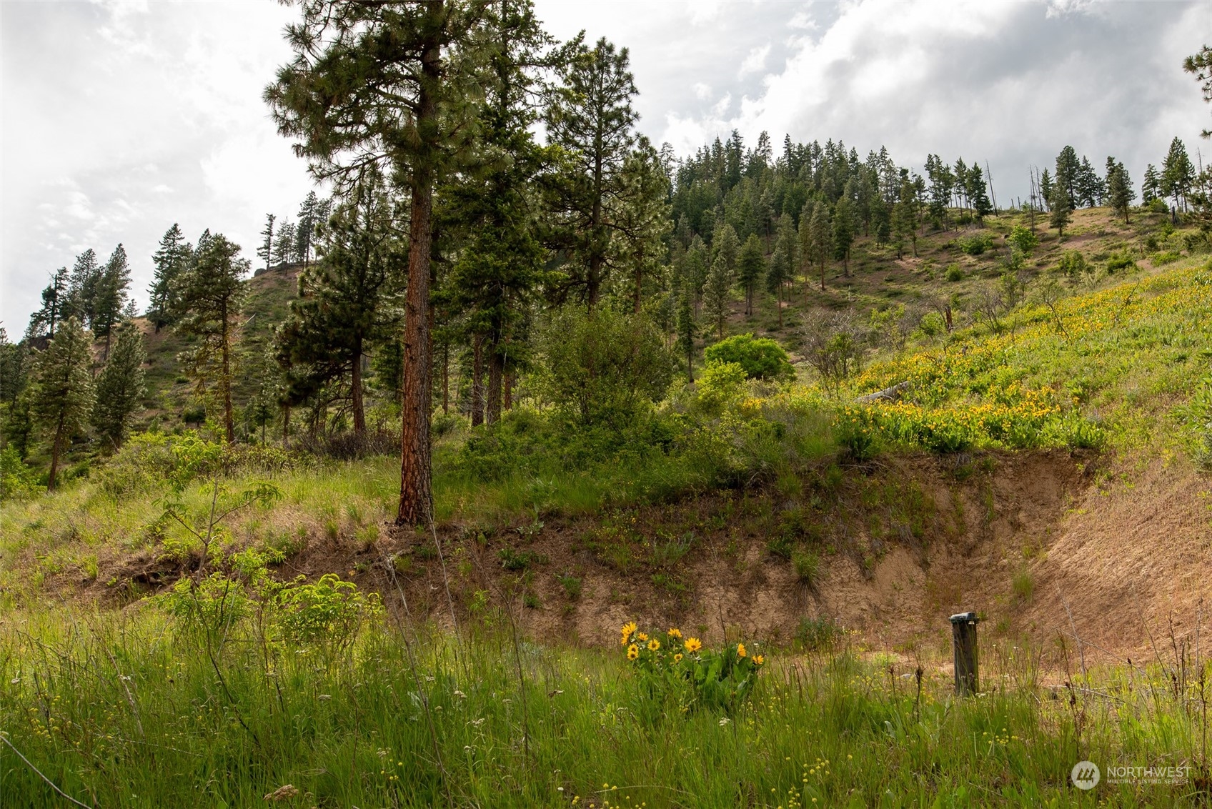 9014 Forest Service 7410 Road Cashmere, WA 98815 - Photo 9 of 20 Gallery Image 9