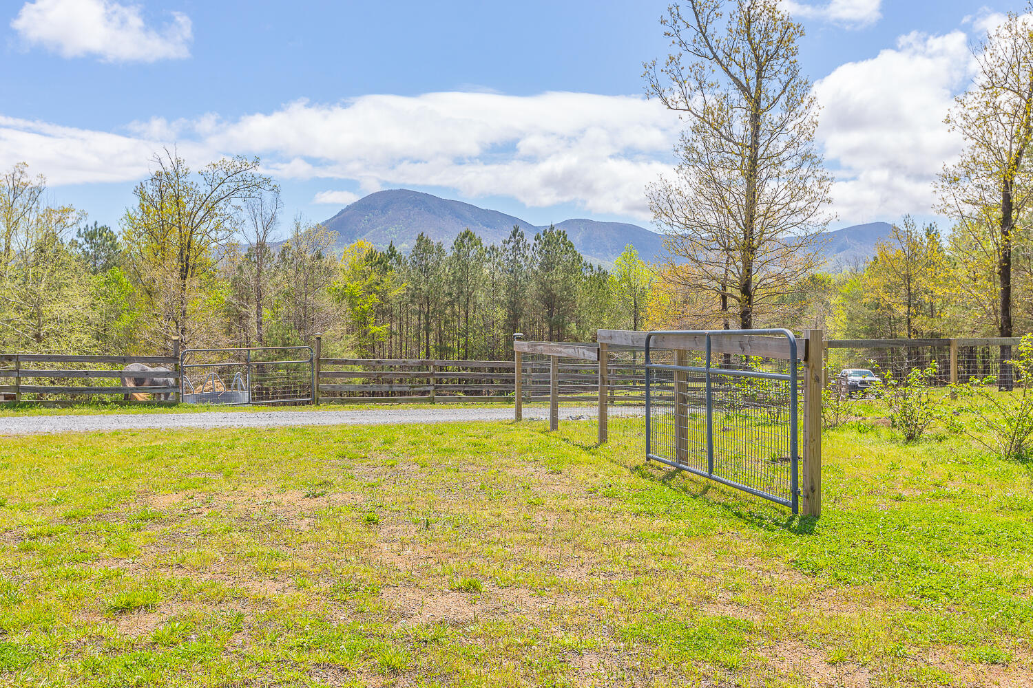 1877 Hyden Tyler Road Chatsworth, GA 30705 - Photo 2 of 73 1877 Hyden Tyler HD -9