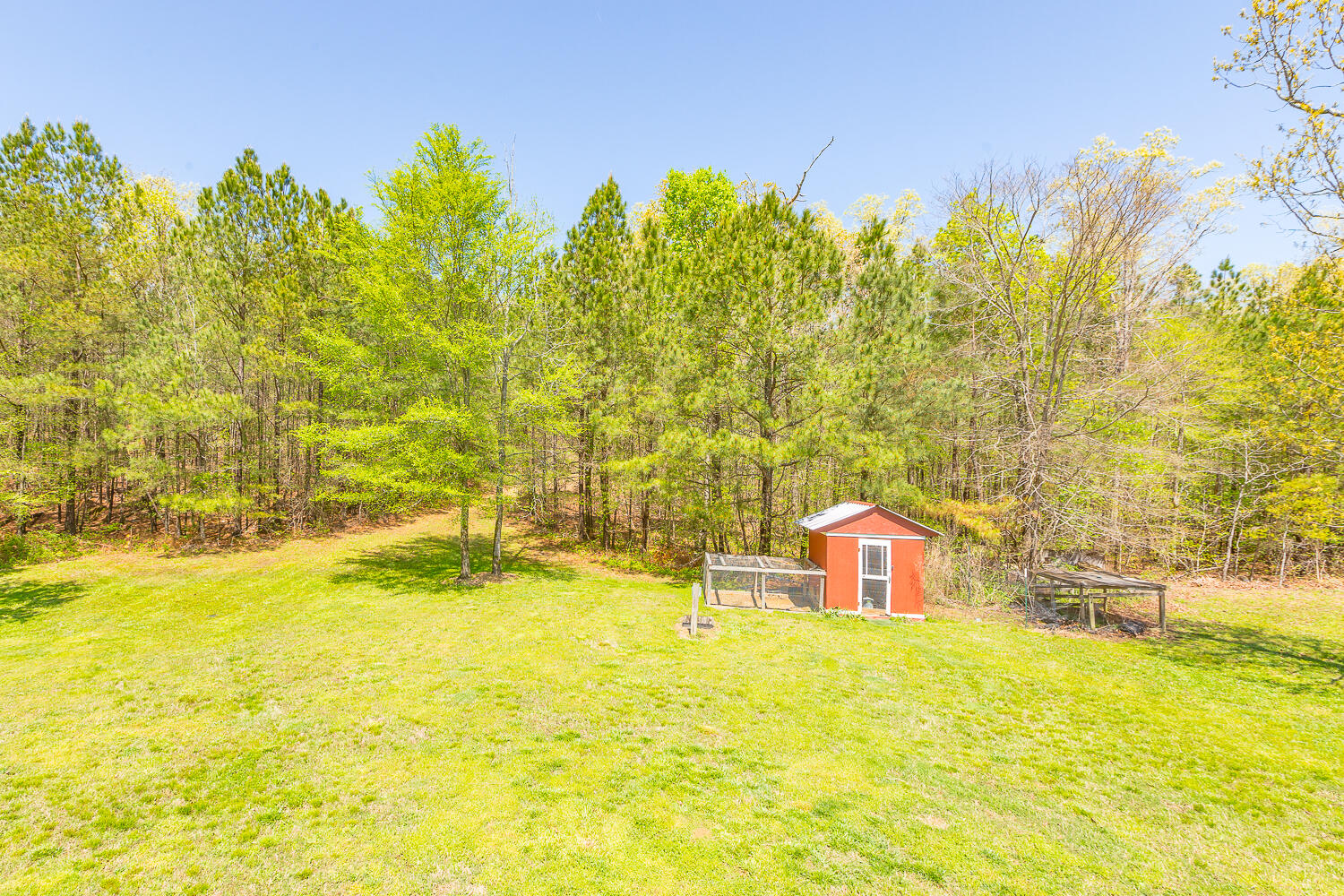 1877 Hyden Tyler Road Chatsworth, GA 30705 - Photo 50 of 73 1877 Hyden Tyler HD -33
