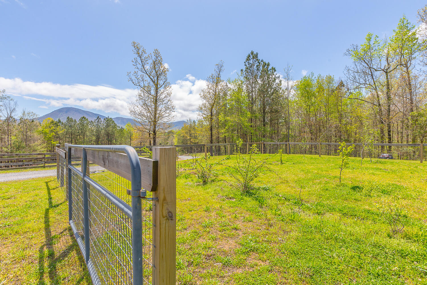 1877 Hyden Tyler Road Chatsworth, GA 30705 - Photo 51 of 73 1877 Hyden Tyler HD -6