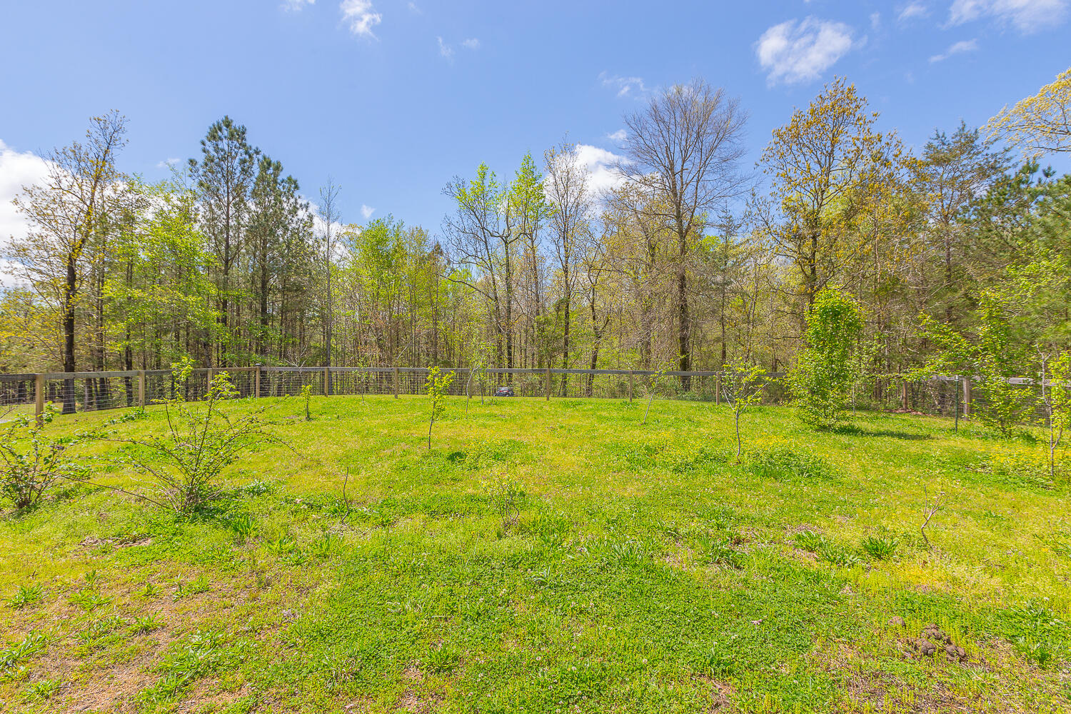 1877 Hyden Tyler Road Chatsworth, GA 30705 - Photo 54 of 73 1877 Hyden Tyler HD -7
