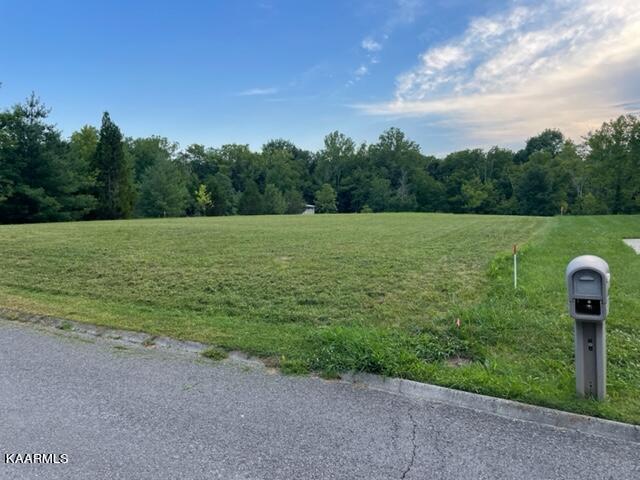 7431 Casselberry Road Corryton, TN 37721 - Photo 3 of 4 IMG_9749
