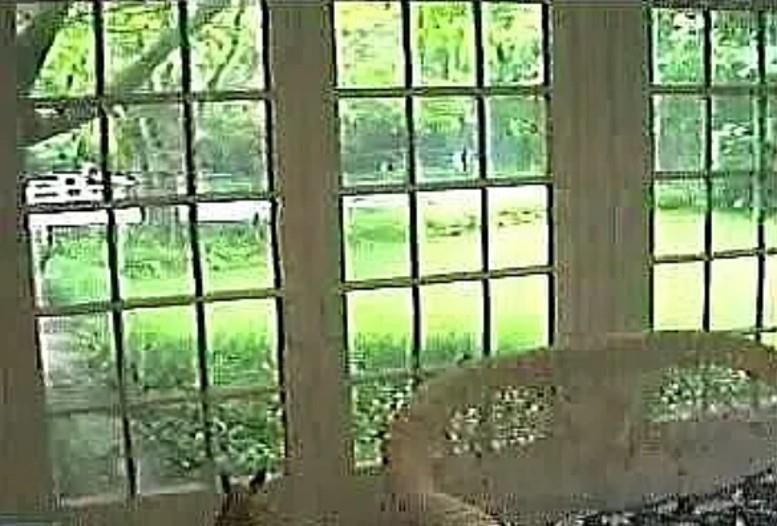 5208 Caladium Drive Dallas, TX 75229 - Photo 8 of 9 a view of a large window with an outdoor space