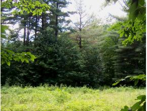 Little Village Road Danby, VT 05739 - Photo 4 of 5 Gallery Image 4