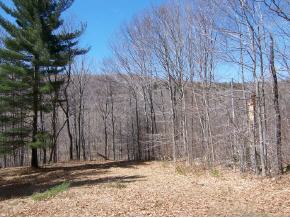 Little Village Road Danby, VT 05739 - Photo 5 of 5 Gallery Image 5