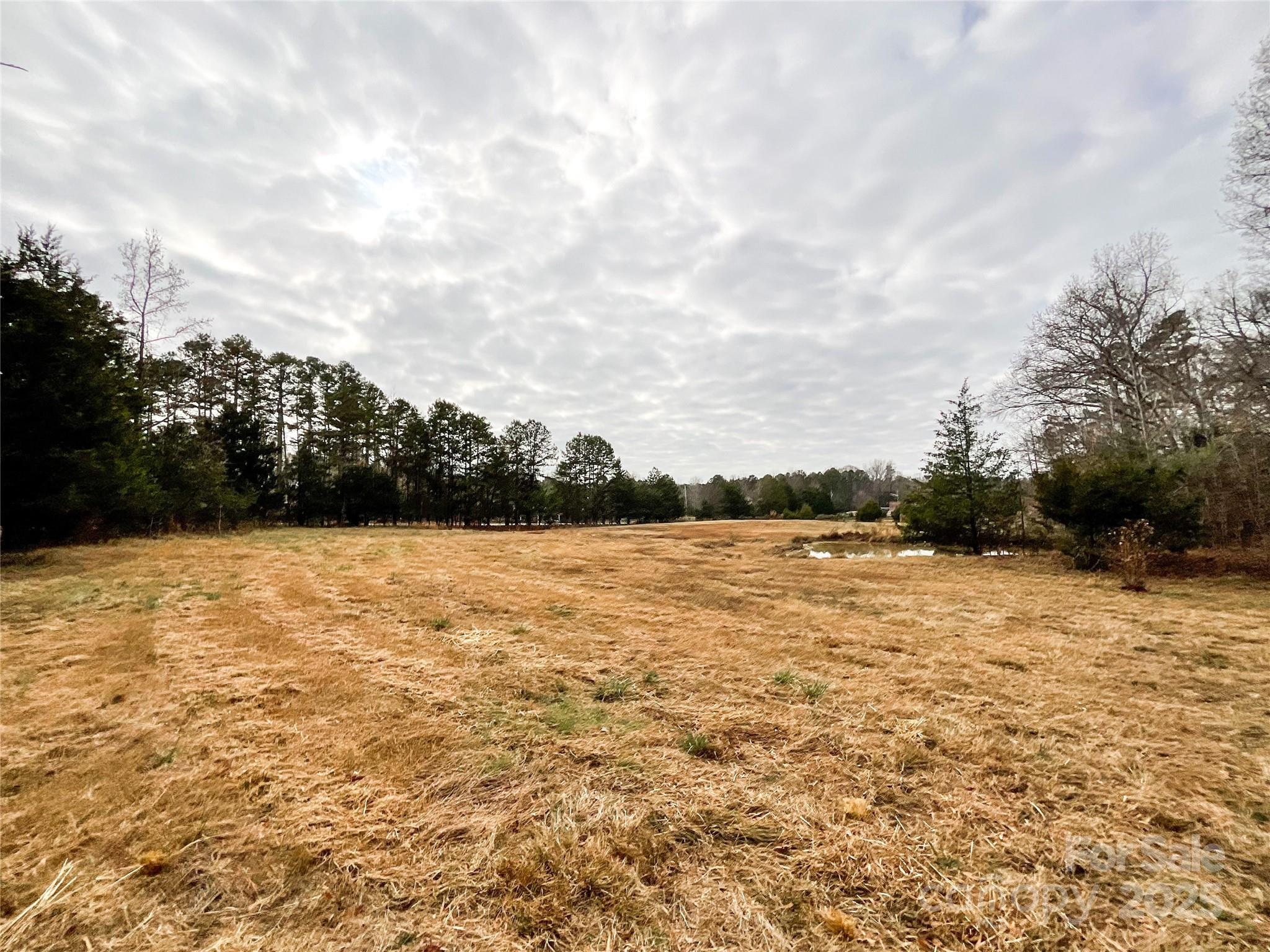 7204 Nesbit Road Waxhaw, NC 28173 - Photo 17 of 25 a view of lake