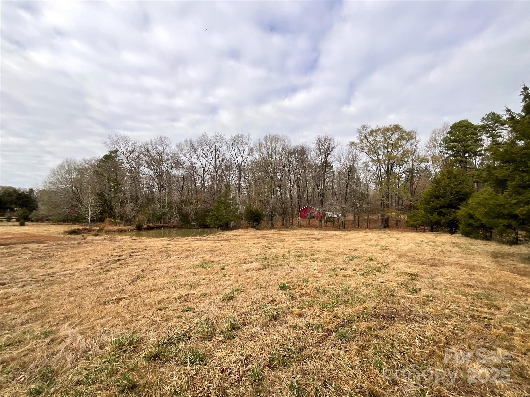 7204 Nesbit Road Waxhaw, NC 28173 - Photo 20 of 25 a view of large yard with trees