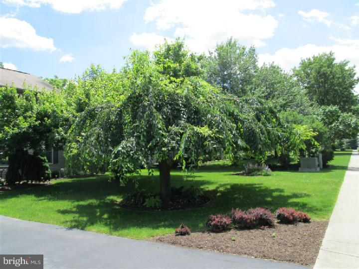 121 Conestoga Drive Sinking Spring, PA 19608 - Photo 4 of 22 Gallery Image 4