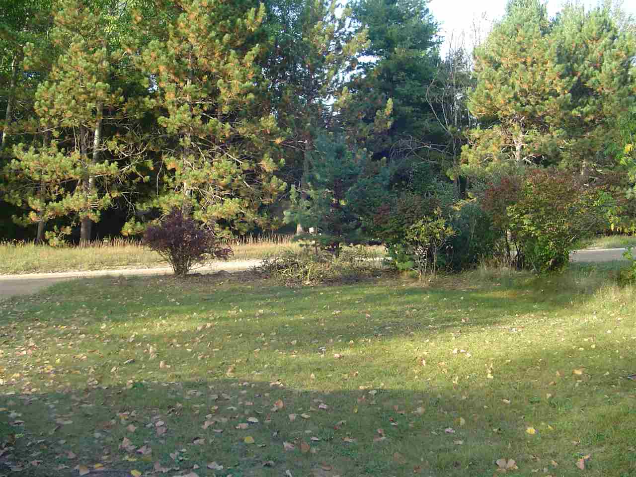 7257 Sullivan Road Grawn, MI 49637 - Photo 13 of 14 1838779-12.JPG