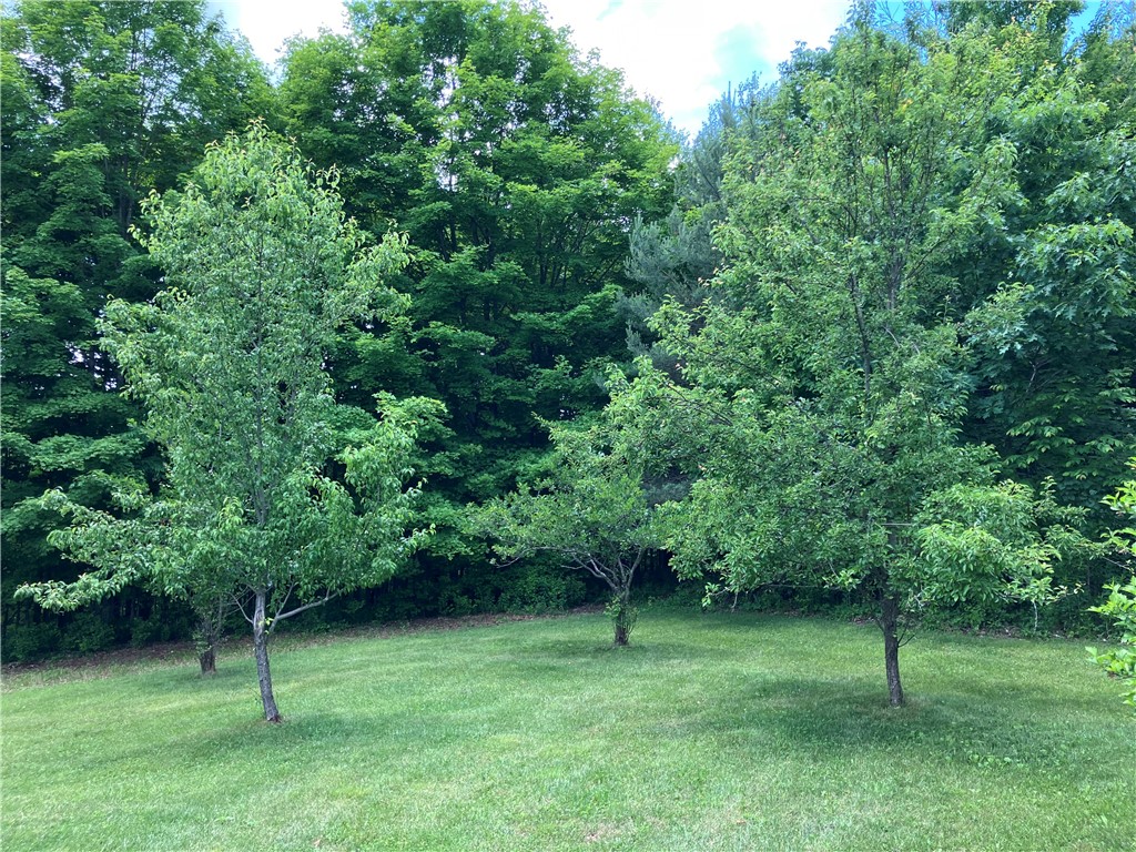 427 Rorick Hollow Road Erin, NY 14861 - Photo 10 of 47