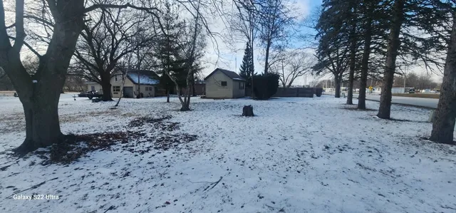 a view of some trees in the forest