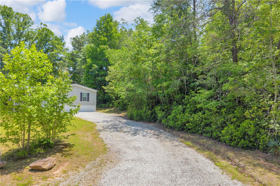 334 Lake Becky Road Mountain Rest, SC 29664 - Photo 39 of 46 A secluded residential escape awaits with ample green foliage and a functional gravel driveway.