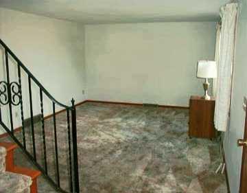 884 Wildlife Lodge Road Lower Burrell, PA 15068 - Photo 3 of 8 Gallery Image 3
